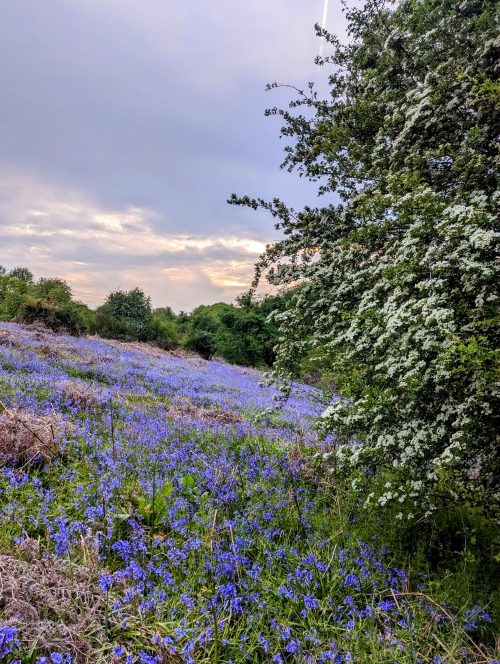 Lane End, Buckinghamshire